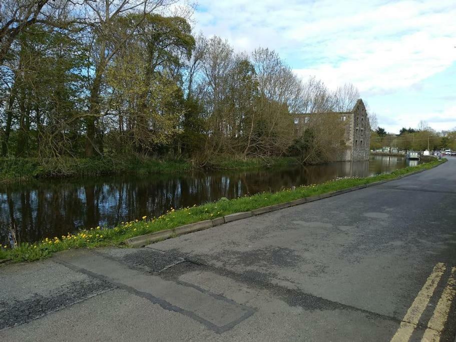 Small Town House, Barrow Lane, Bagenalstown, Carlow Eksteriør bilde